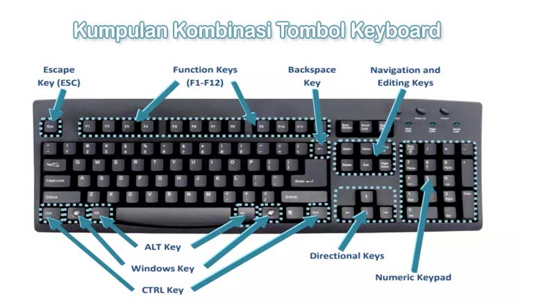 Detail Gambar Dan Fungsi Keyboard Komputer Nomer 20