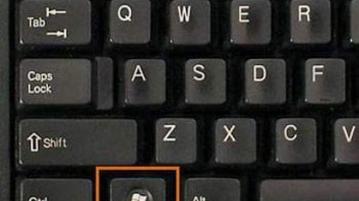 Detail Gambar Dan Fungsi Keyboard Komputer Nomer 23