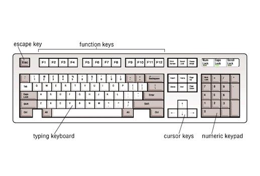 Detail Gambar Dan Fungsi Keyboard Komputer Nomer 34