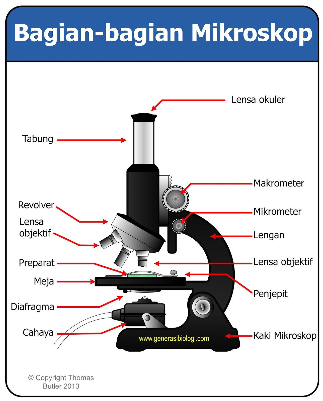 Detail Gambar Dan Fungsi Mikroskop Nomer 9