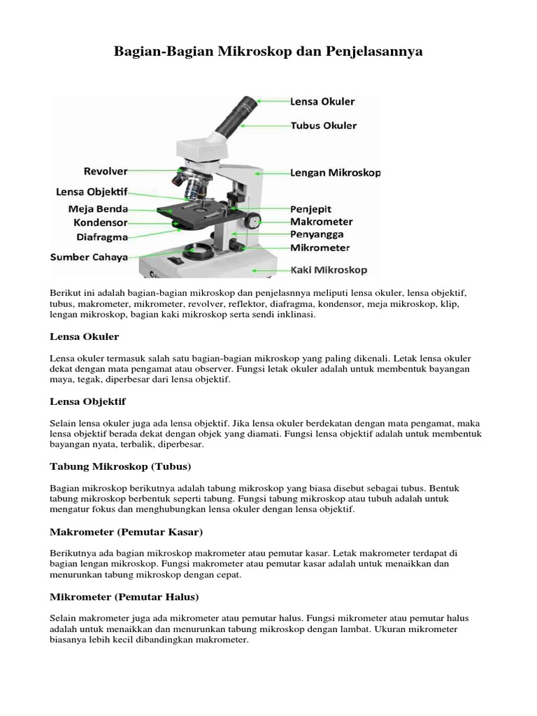 Detail Gambar Dan Fungsi Mikroskop Nomer 34
