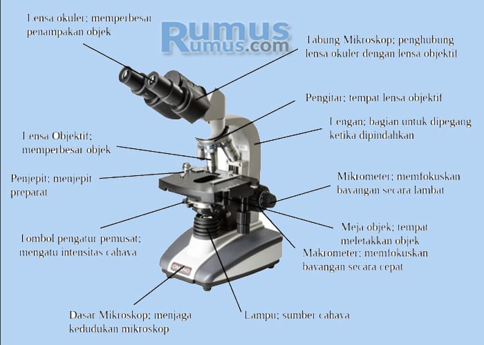 Detail Gambar Dan Fungsi Mikroskop Nomer 8