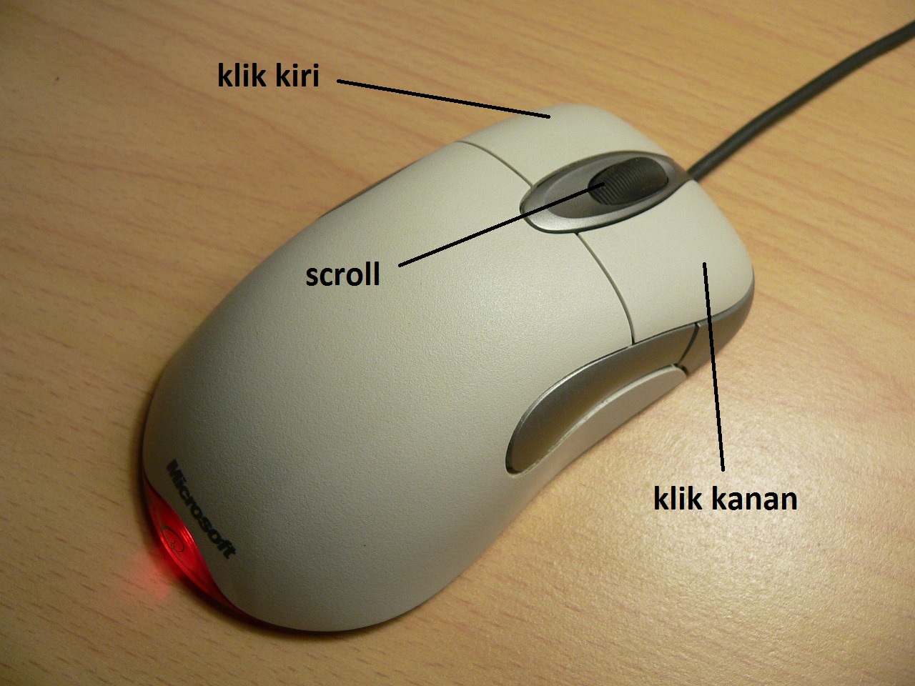 Detail Gambar Dan Fungsi Mouse Nomer 2