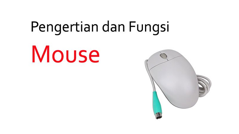 Detail Gambar Dan Fungsi Mouse Nomer 11