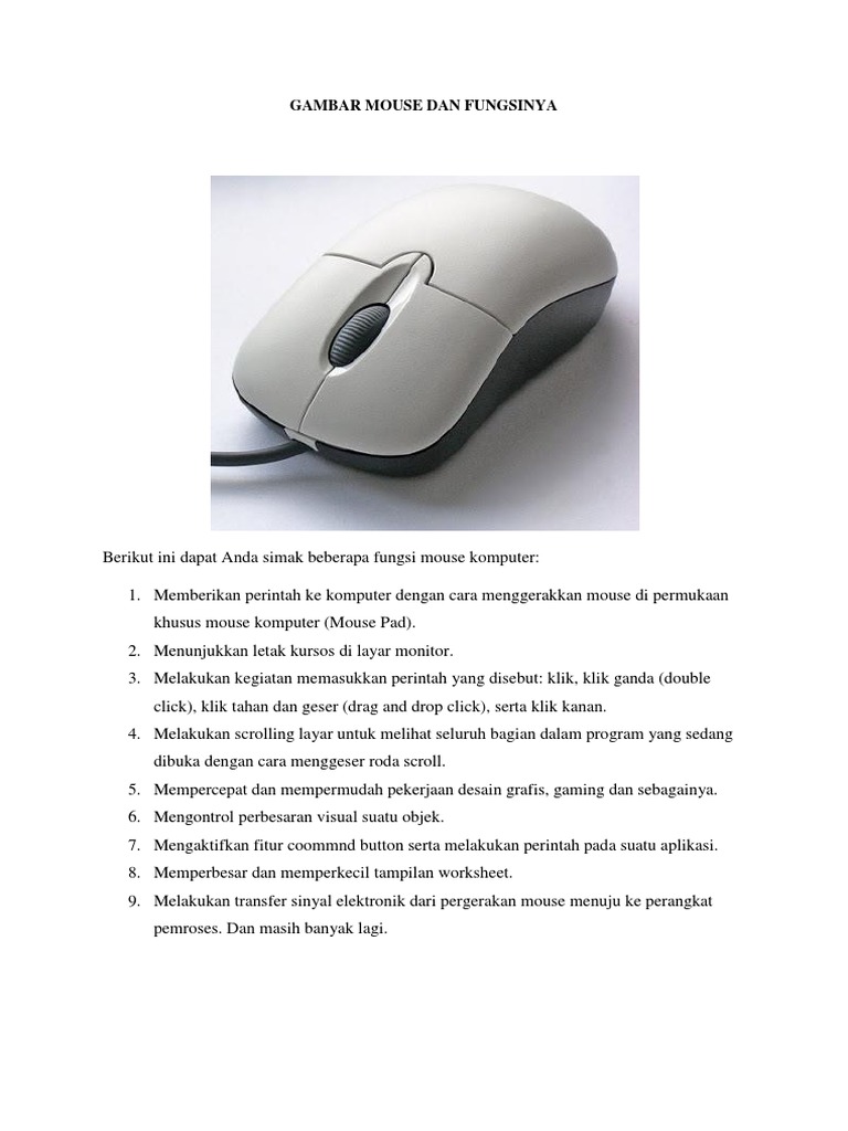 Detail Gambar Dan Fungsi Mouse Nomer 5