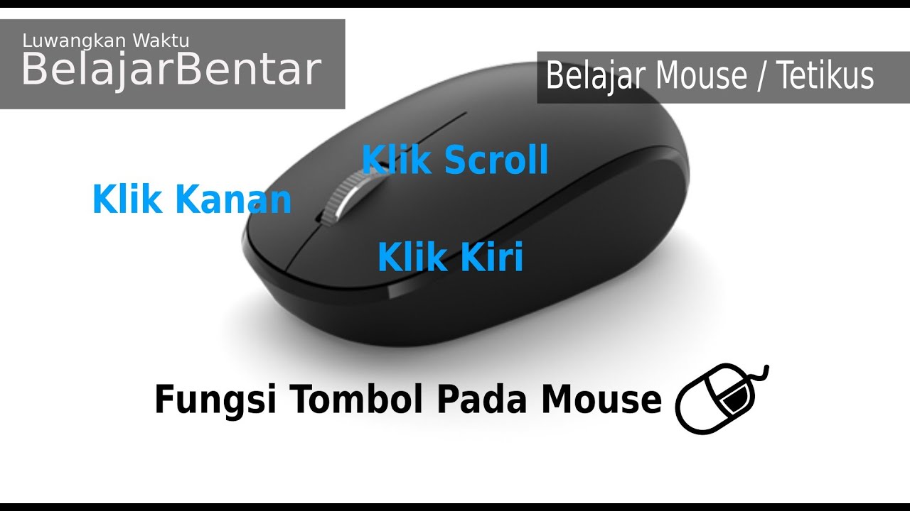 Detail Gambar Dan Fungsi Mouse Nomer 45