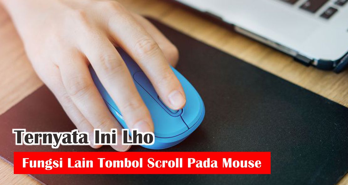 Detail Gambar Dan Fungsi Mouse Nomer 52