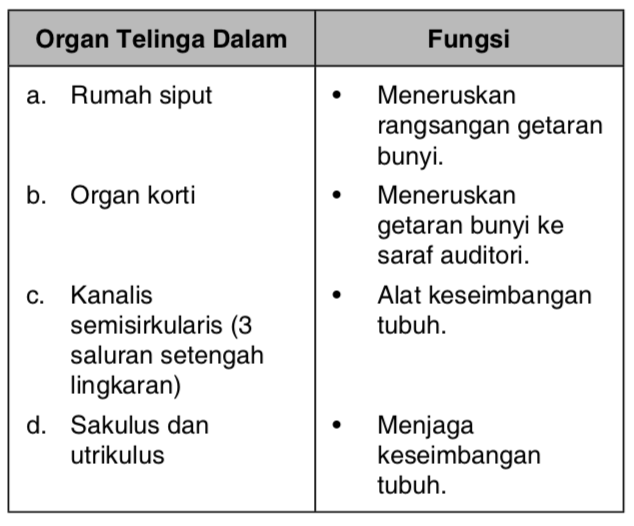 Detail Gambar Dan Fungsi Telinga Nomer 49