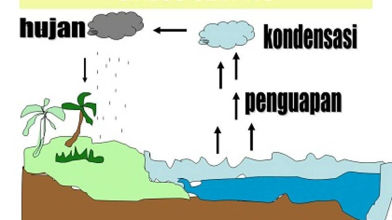 Detail Gambar Dan Jelaskan Siklus Hidrologi Nomer 3