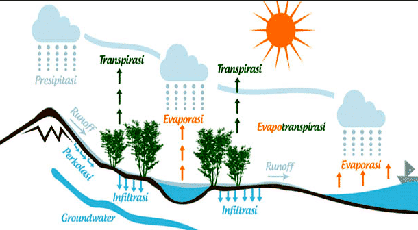 Detail Gambar Dan Jelaskan Siklus Hidrologi Nomer 6