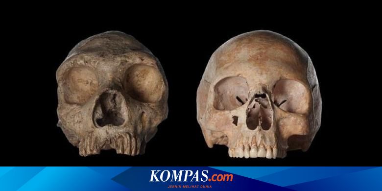 Detail Gambar Dan Jenis Manusia Purba Yang Ada Di Asia Nomer 30