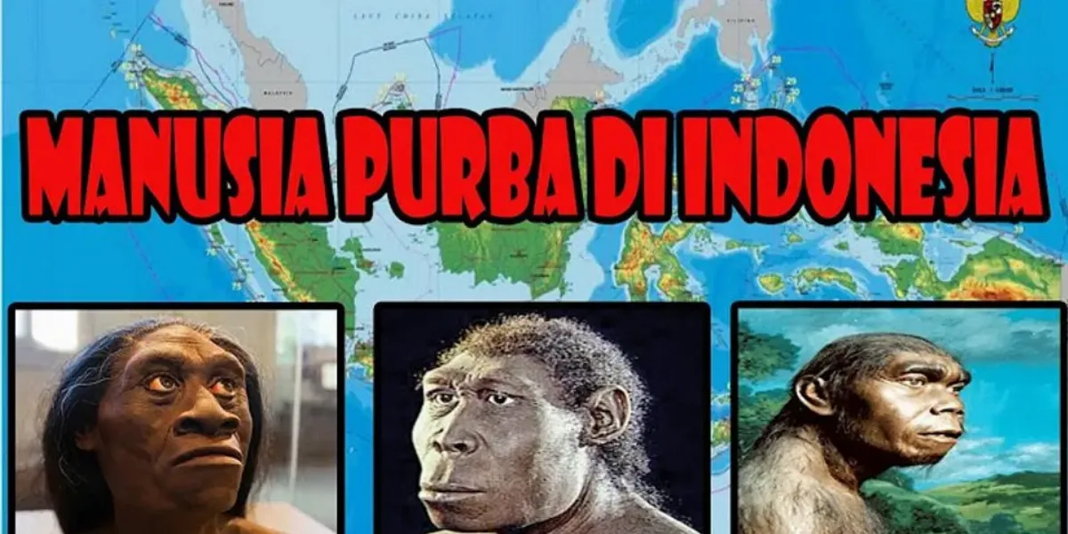 Detail Gambar Dan Jenis Manusia Purba Yang Ada Di Indonesia Nomer 48