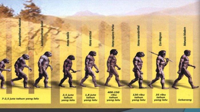 Detail Gambar Dan Penjelasan Jaman Purba Nomer 7