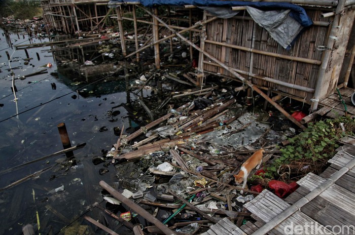 Gambar Dan Penjelasan Pencemaran Lingkungan - KibrisPDR