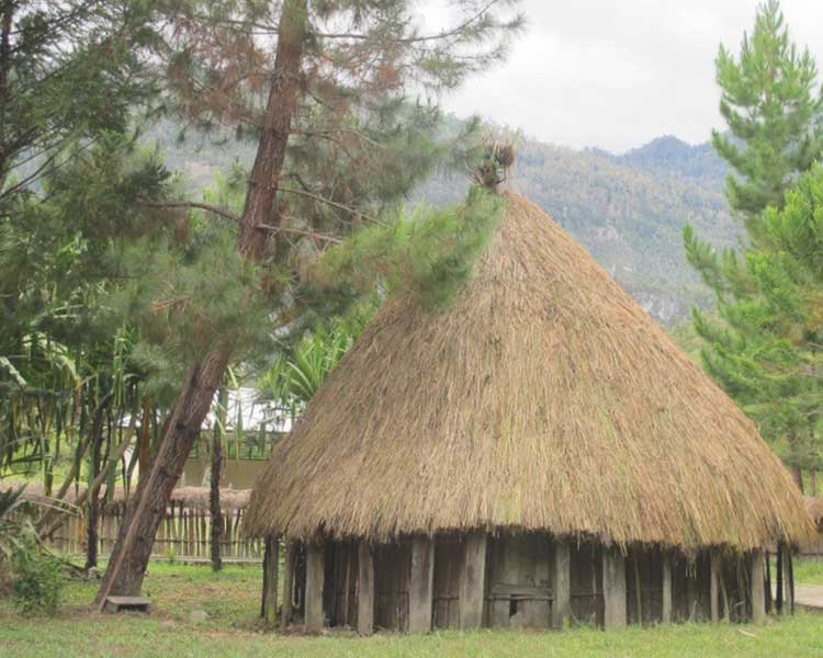 Detail Gambar Dan Penjelasan Rumah Adat Papua Koleksi Nomer 47