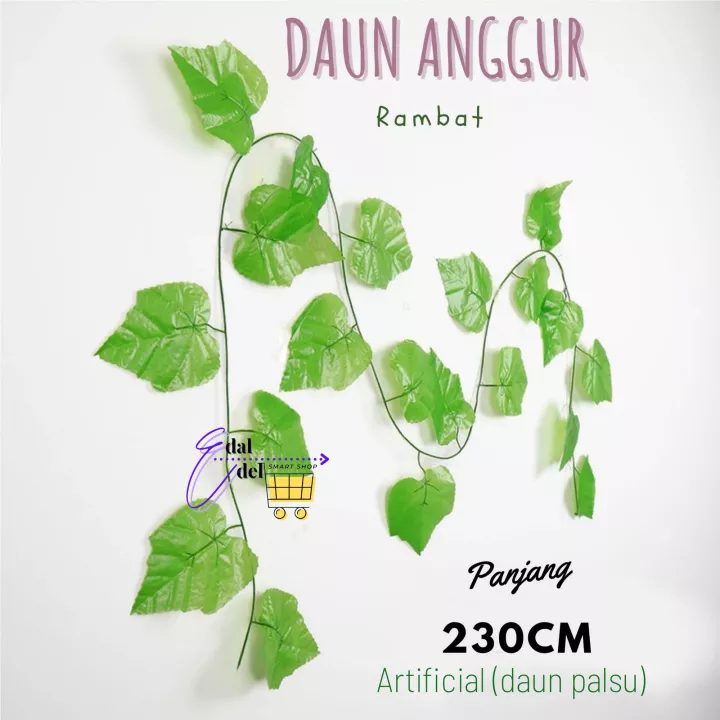 Detail Gambar Daun Menjalar Yg Cantik Untuk Langit2 Rumah Nomer 32