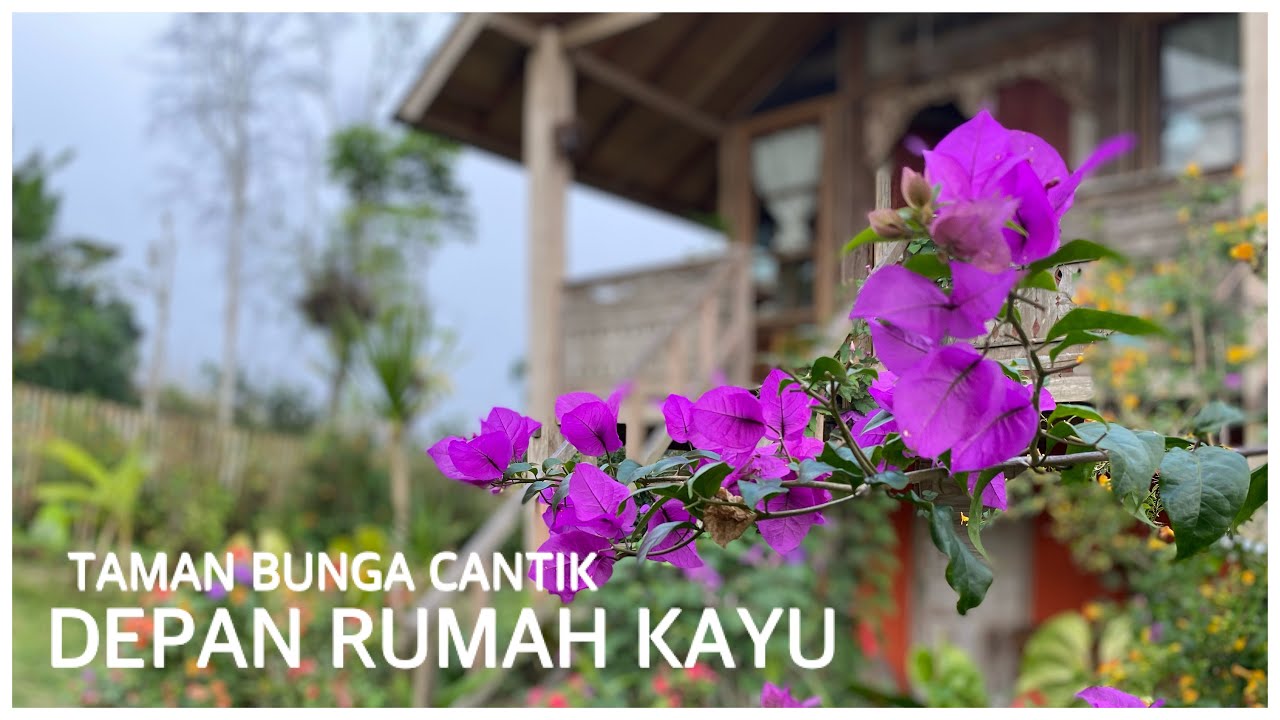 Detail Gambar Depan Rumah Kayu Nomer 23