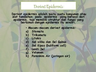 Detail Gambar Derivat Epidermis Nomer 51