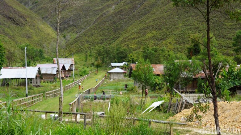 Gambar Desa Di Papua Barat - KibrisPDR