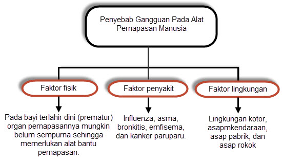 Detail Gambar Diagram Pernapasan Nomer 39