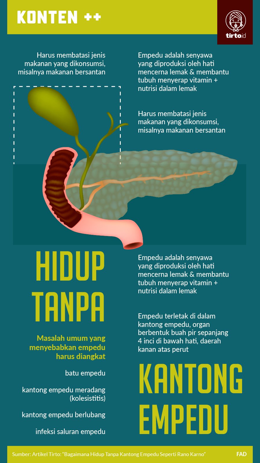 Detail Gambar Empedu Manusia Nomer 47