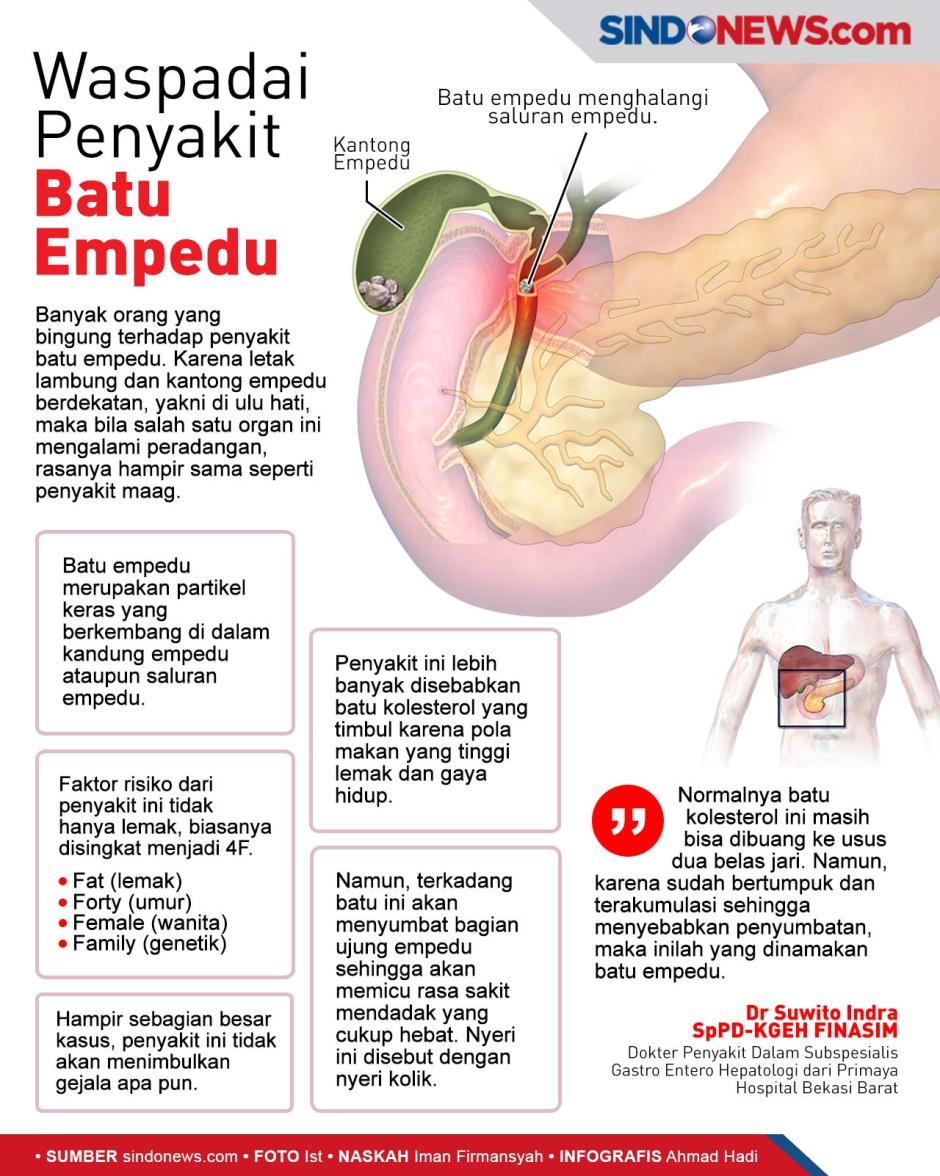 Detail Gambar Empedu Manusia Nomer 53