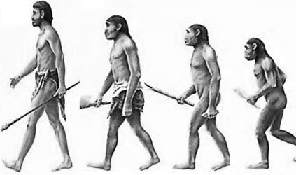 Detail Gambar Evolusi Manusia Nomer 8