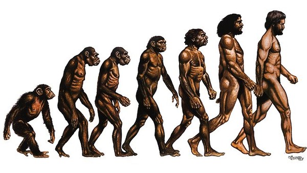 Detail Gambar Evolusi Manusia Nomer 9