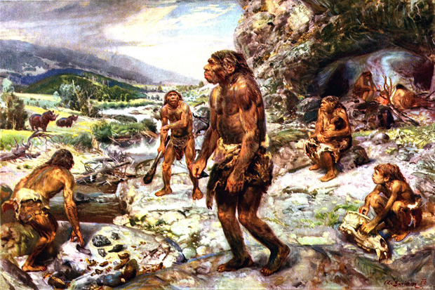Detail Gambar Evolusi Manusia Nomer 11