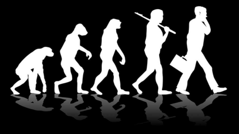 Detail Gambar Evolusi Manusia Nomer 12