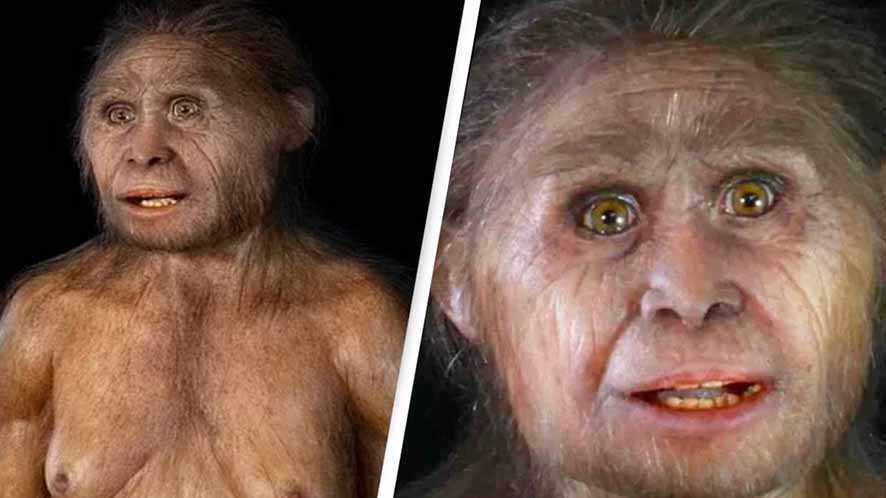 Detail Gambar Evolusi Manusia Nomer 15