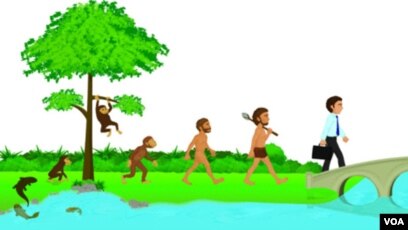 Detail Gambar Evolusi Manusia Nomer 21