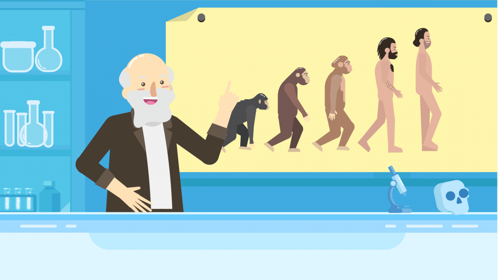 Detail Gambar Evolusi Manusia Nomer 22