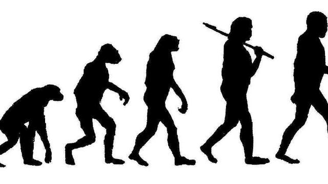 Detail Gambar Evolusi Manusia Nomer 23