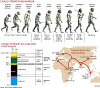 Detail Gambar Evolusi Manusia Nomer 26