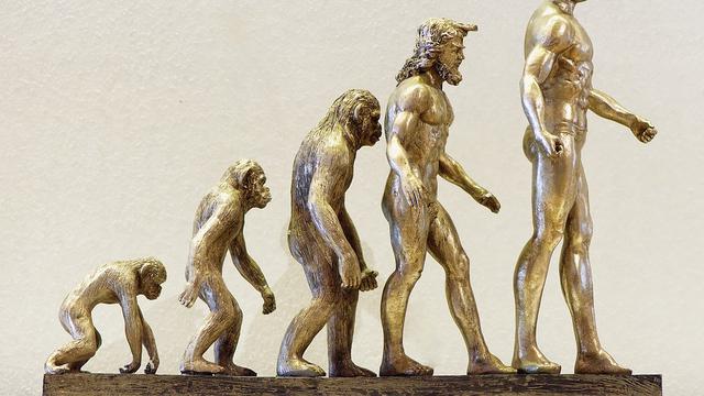 Detail Gambar Evolusi Manusia Nomer 2