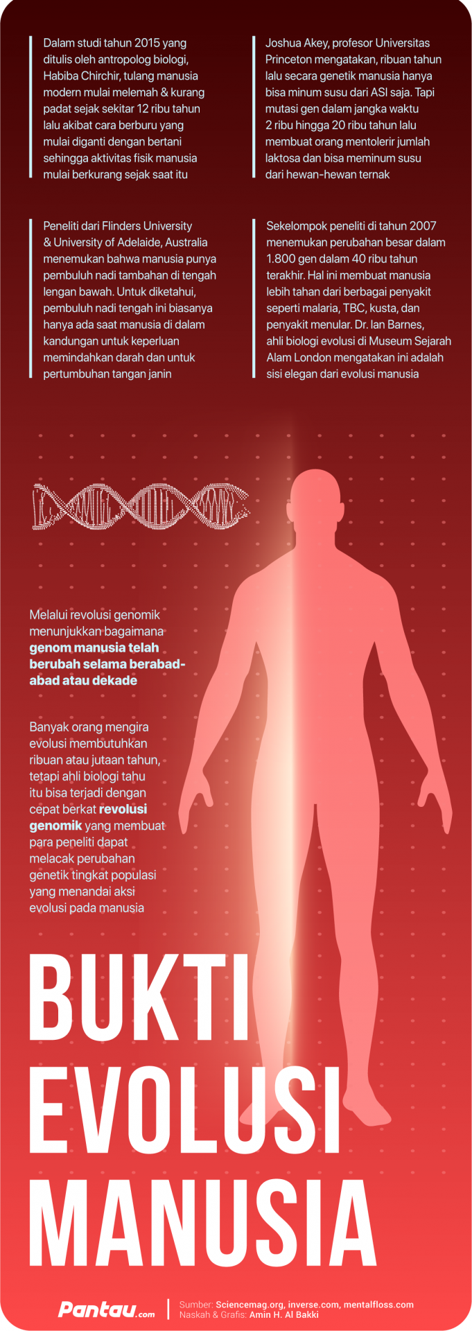 Detail Gambar Evolusi Manusia Nomer 28