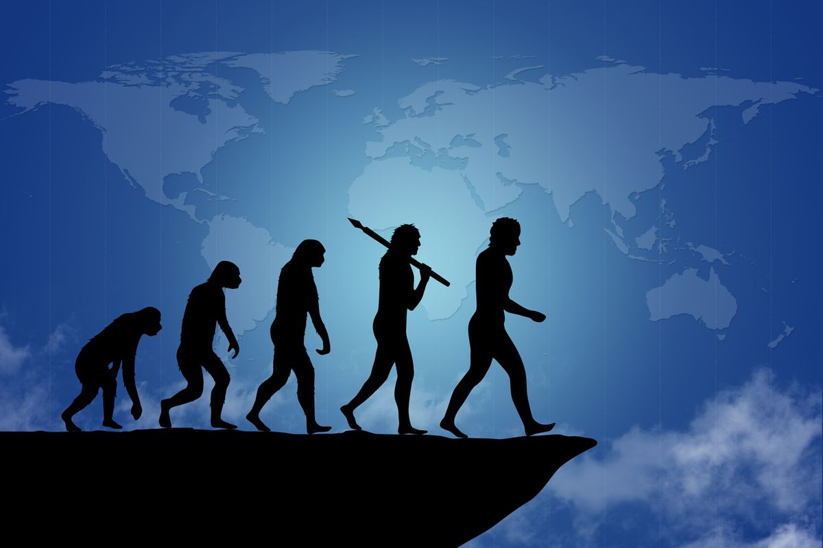 Detail Gambar Evolusi Manusia Nomer 34