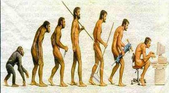 Detail Gambar Evolusi Manusia Nomer 3