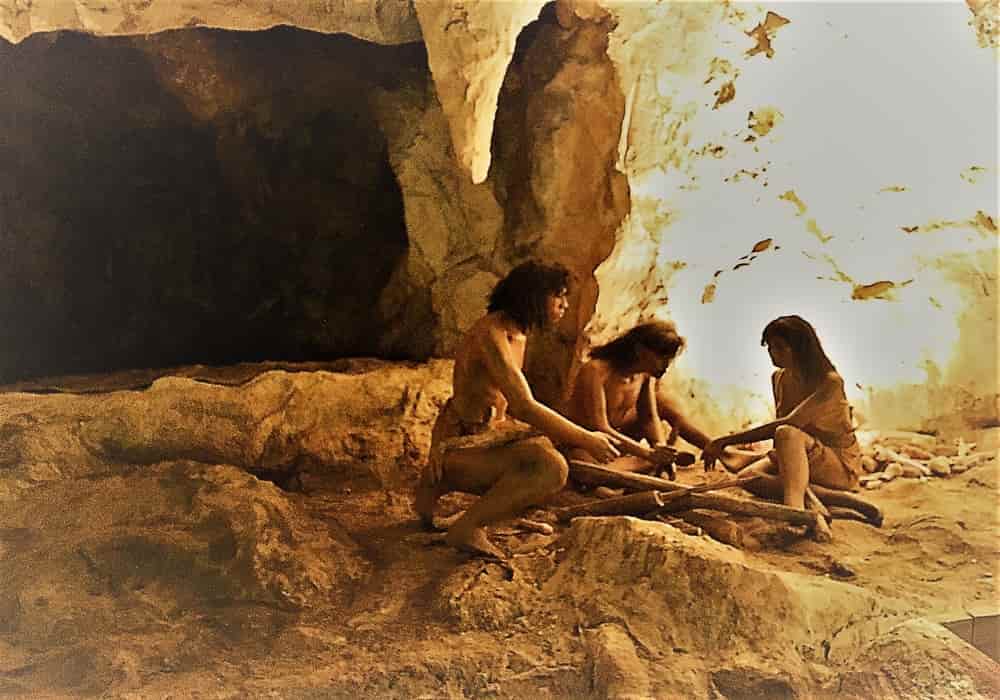 Detail Gambar Evolusi Manusia Nomer 39