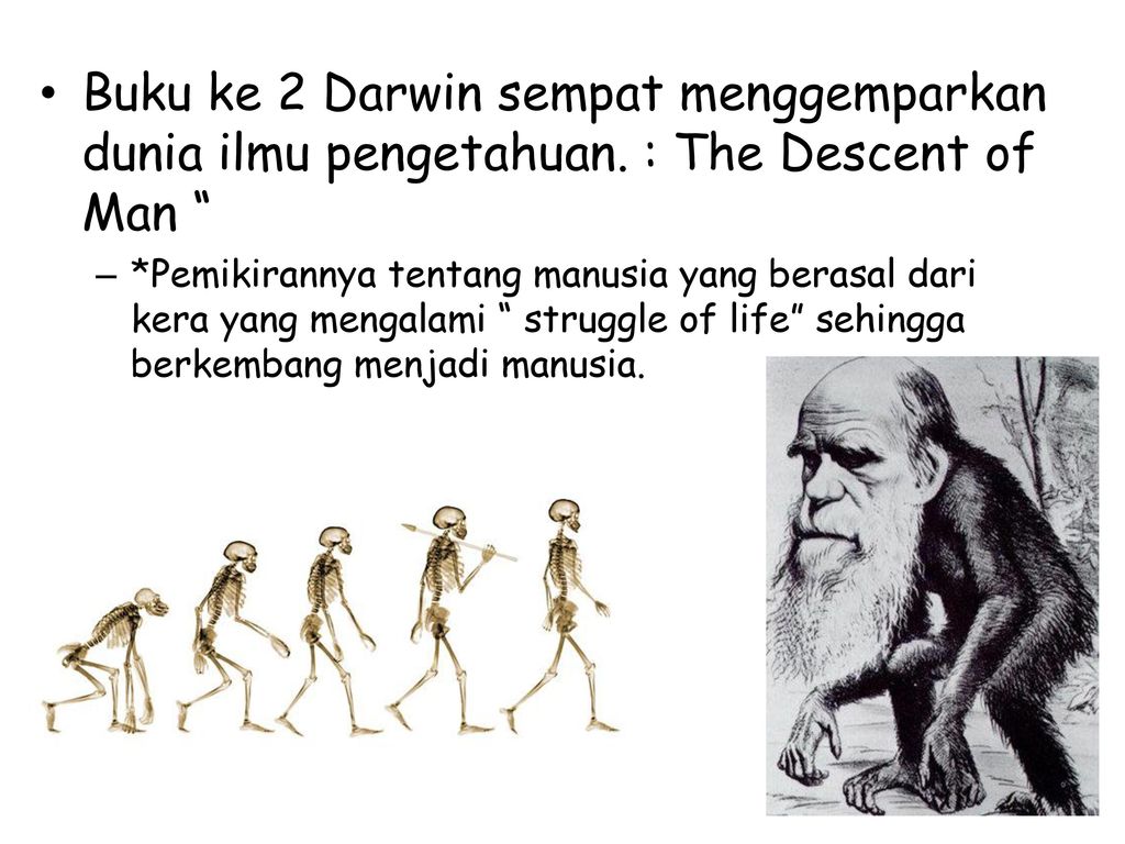 Detail Gambar Evolusi Manusia Nomer 42