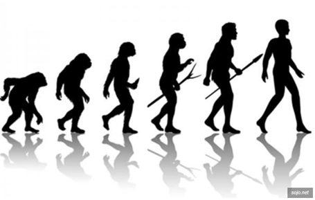 Detail Gambar Evolusi Manusia Nomer 45