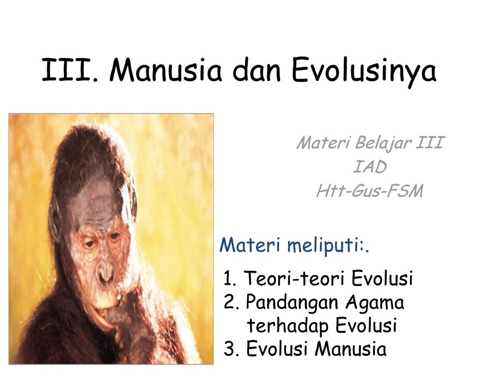 Detail Gambar Evolusi Manusia Nomer 47