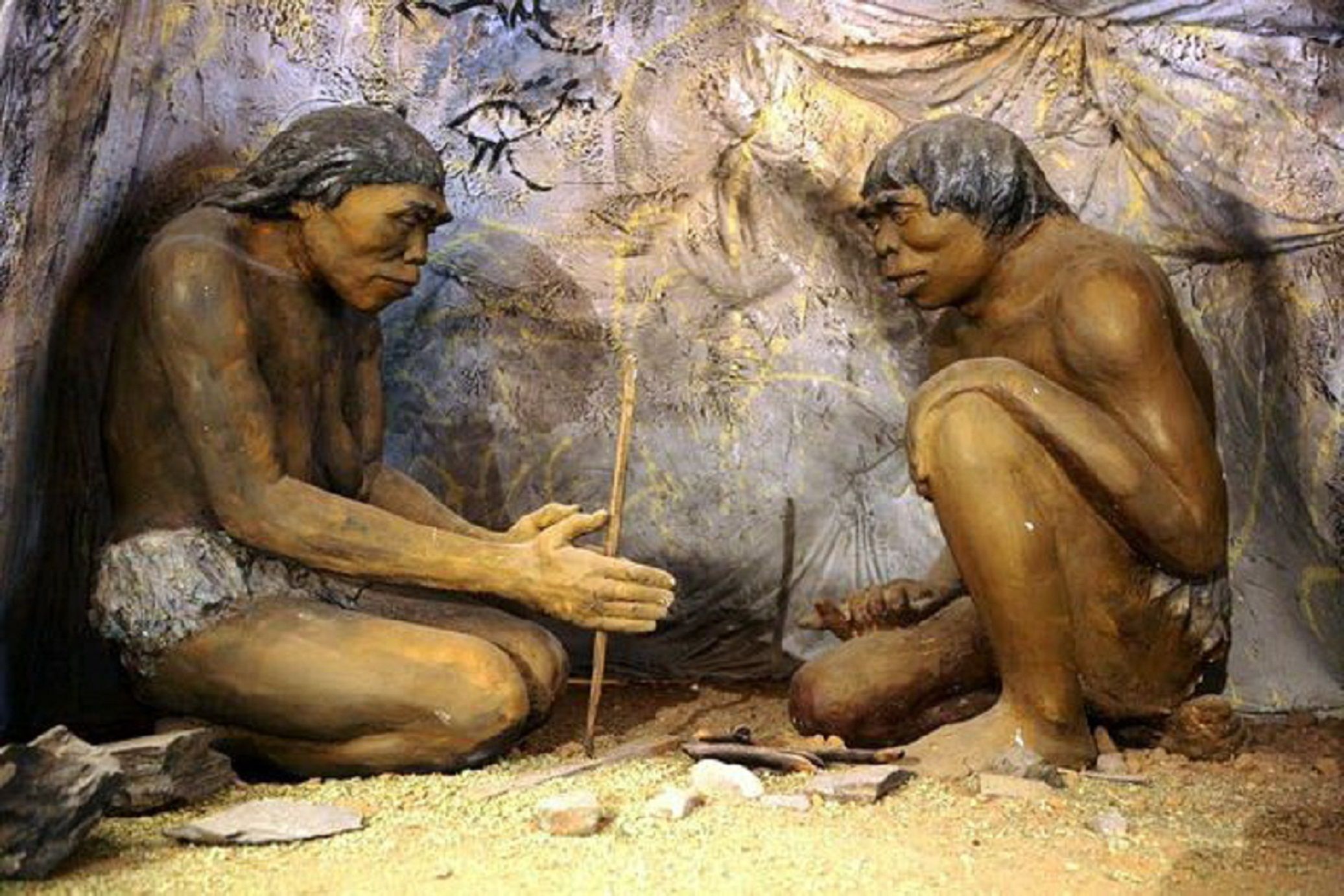 Detail Gambar Evolusi Manusia Nomer 50