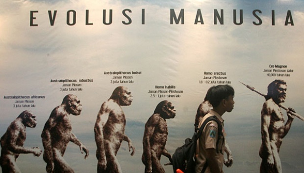 Detail Gambar Evolusi Manusia Nomer 7