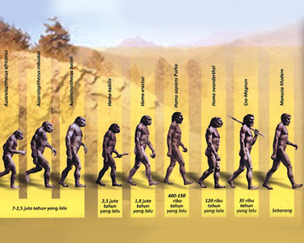 Gambar Evolusi Manusia Purba - KibrisPDR