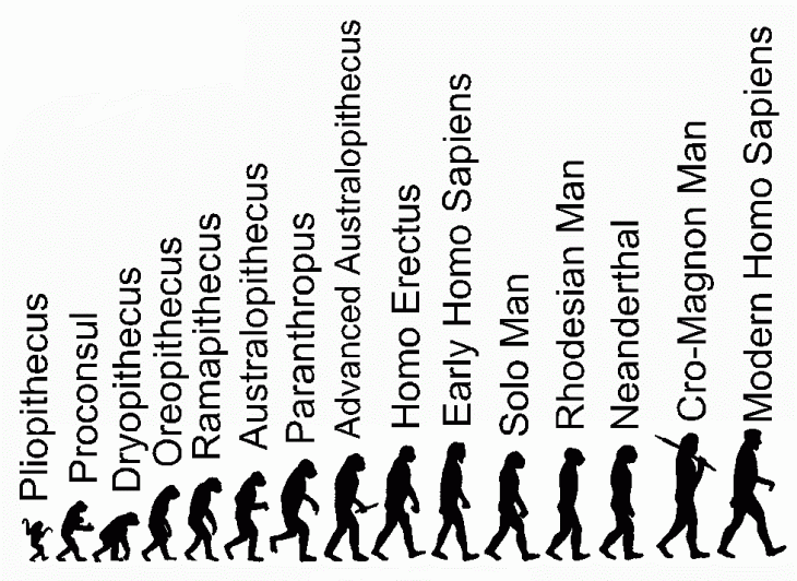 Detail Gambar Evolusi Manusia Purba Nomer 6