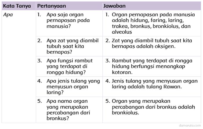 Detail Gambar Faring Sistem Pernapsan Manusia Nomer 44