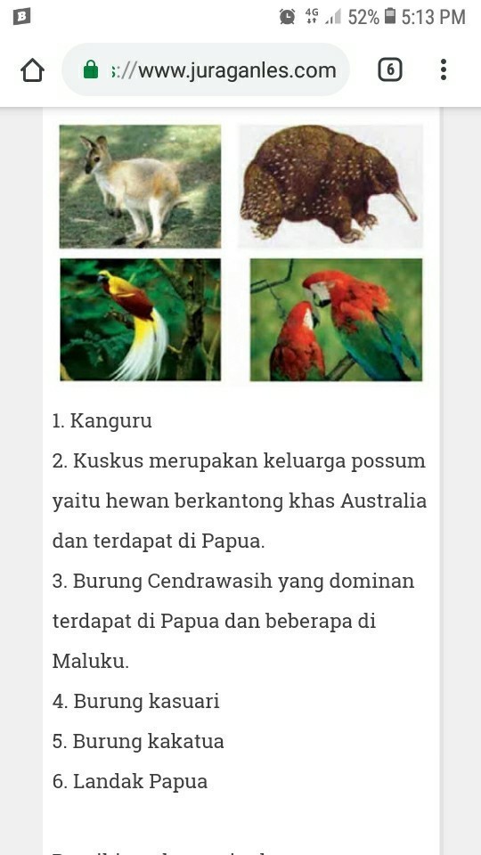 Detail Gambar Fauna Tipe Asiatis Beserta Namanya Nomer 14