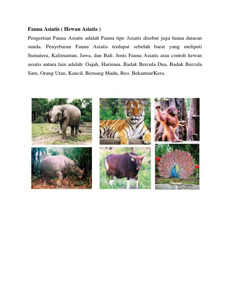 Detail Gambar Fauna Tipe Asiatis Beserta Namanya Nomer 21